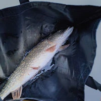 Wychwood Agitator Predator Slings